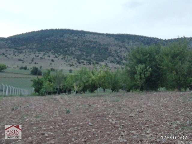 ANKARA AYAŞ OLTAN KARAHASAN MAHACİL SATILIK 7783-M2-KİRAZ BAHÇESİARSASI VE BAHÇE EVİ - Görsel 8
