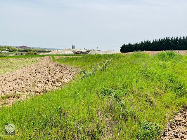 TURYAPTAN ÇORLU ÖNERLERDE SATILIK 3212 M2 TARLA HİSSESİ - Görsel 10