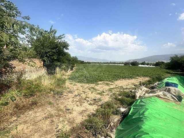 SULTANHİSAR ATÇA da SATILIK BAHÇE - Görsel 6