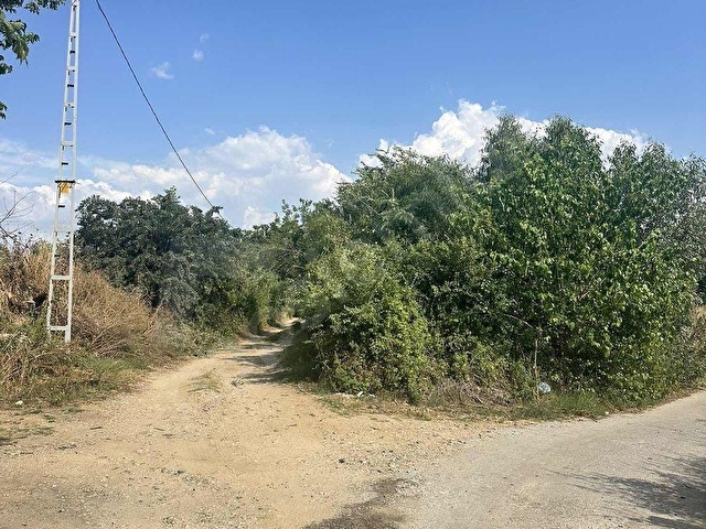 SULTANHİSAR ATÇA da SATILIK BAHÇE - Görsel 9