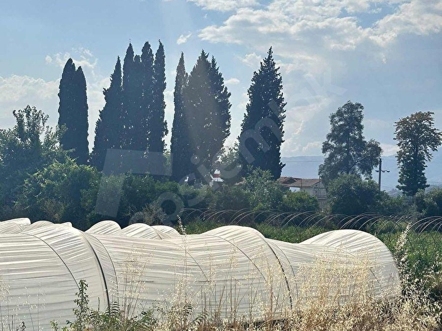 SULTANHİSAR ATÇA da SATILIK BAHÇE - Görsel 13