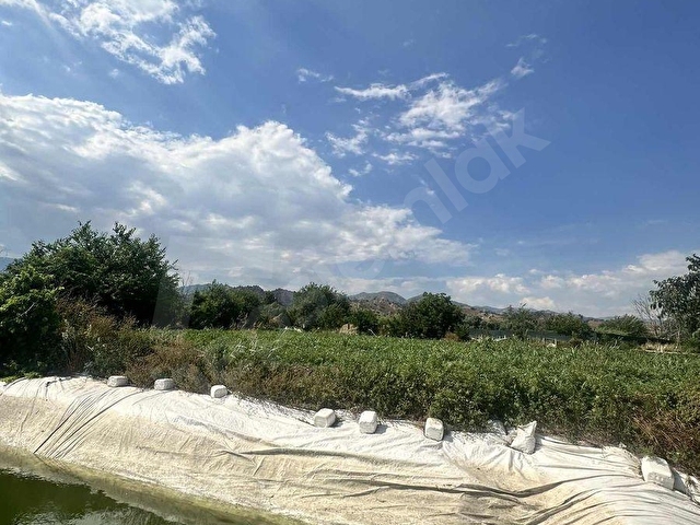 SULTANHİSAR ATÇA da SATILIK BAHÇE