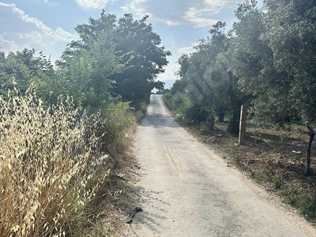 SULTANHİSAR ATÇA da SATILIK BAHÇE - Görsel 3