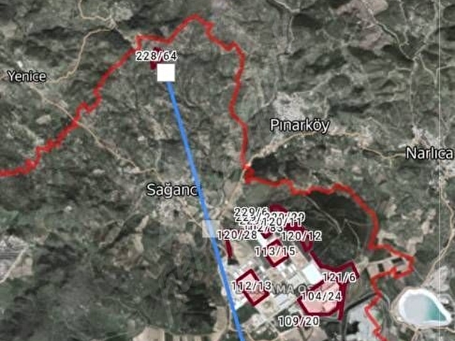 İZMİR DE  SATILIK 23 DÖNÜM VE 800 AĞAÇ ZEYTİNLİ TARLA SON FİYAT - Görsel 14