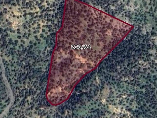 İZMİR DE  SATILIK 23 DÖNÜM VE 800 AĞAÇ ZEYTİNLİ TARLA SON FİYAT - Görsel 3