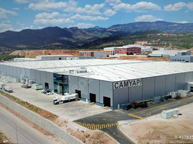 İZMİR DE  SATILIK 23 DÖNÜM VE 800 AĞAÇ ZEYTİNLİ TARLA SON FİYAT - Görsel 9