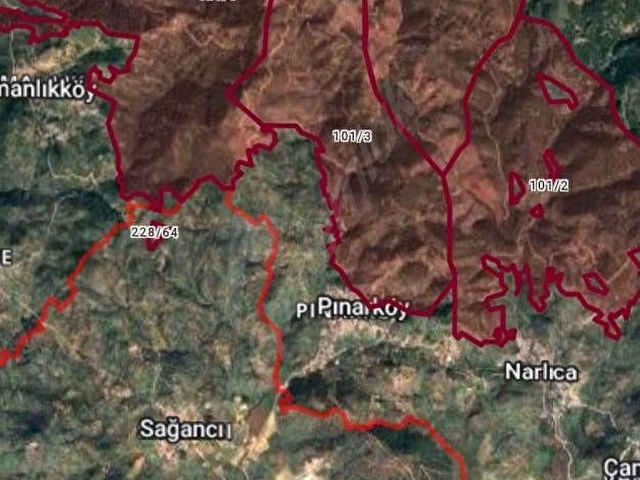 İZMİR DE  SATILIK 23 DÖNÜM VE 800 AĞAÇ ZEYTİNLİ TARLA SON FİYAT - Görsel 10