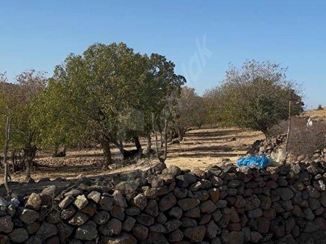 Manisa Yunusemre Seyitlide Satılık Tarla - Görsel 4