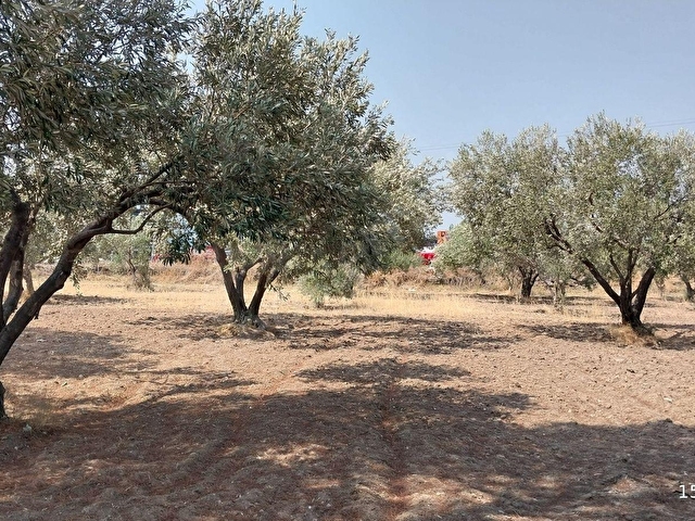 ACİL! REMAXtan Saruhanlı Mütevelli Mah. Yatırıma Uygun! KDKÇ Alanı Sanayi İmarlı, 4.515 m² Tarla - Görsel 4