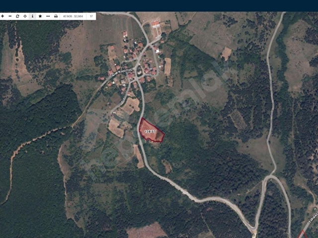MENGEN ARAK KÖYÜNDE 4693 M2 YOL CEPHELİ TEK TAPU SATILIK TARLA !