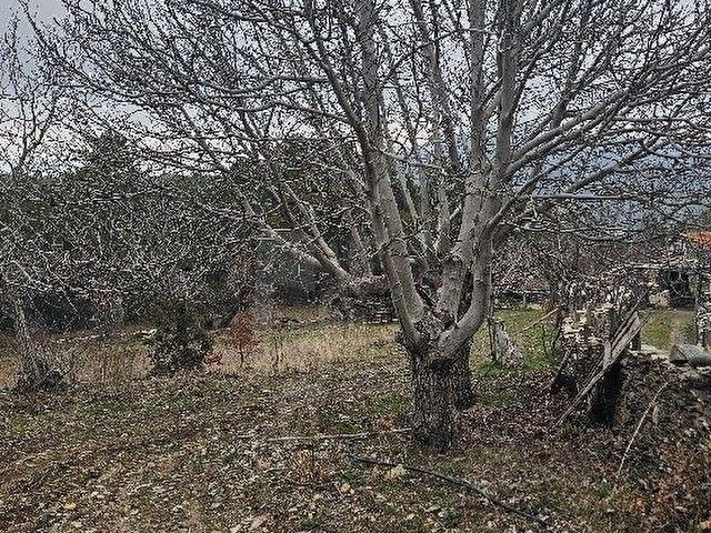 Satılık Tarla