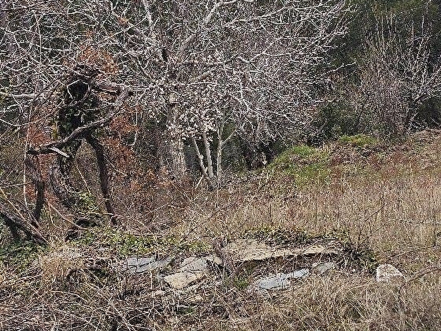 Satılık Tarla - Görsel 5