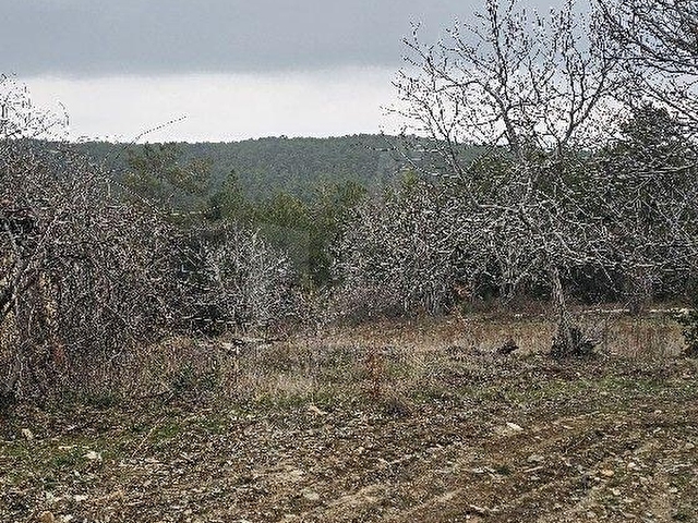 Satılık Tarla - Görsel 23