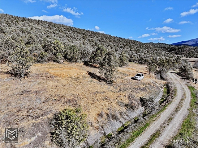 BİLECİK GÖLPAZARI DOĞA MANZARALI 2,300 m2 E-BEŞ DİBİNDE - Görsel 9