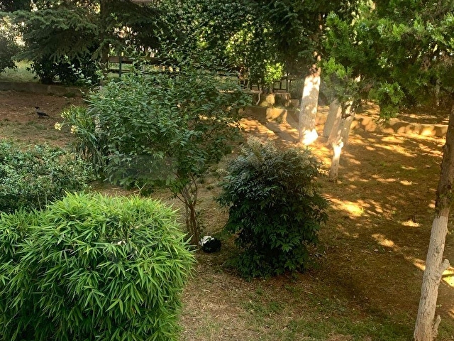 KOZYATAĞI 2+1 FIRSAT DAİRE - Görsel 28