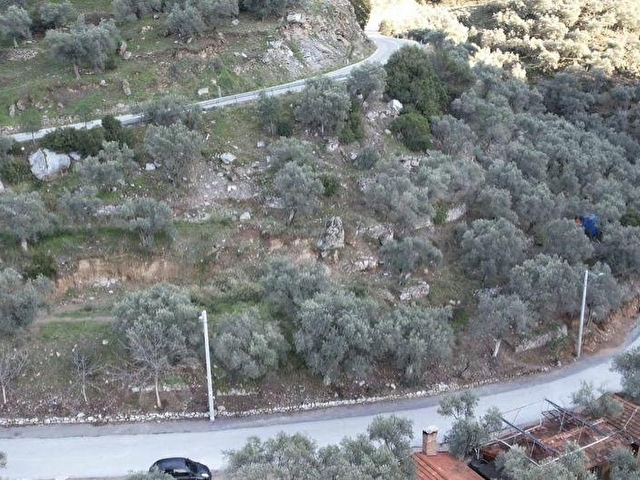 Selçuk Şirince Satılık