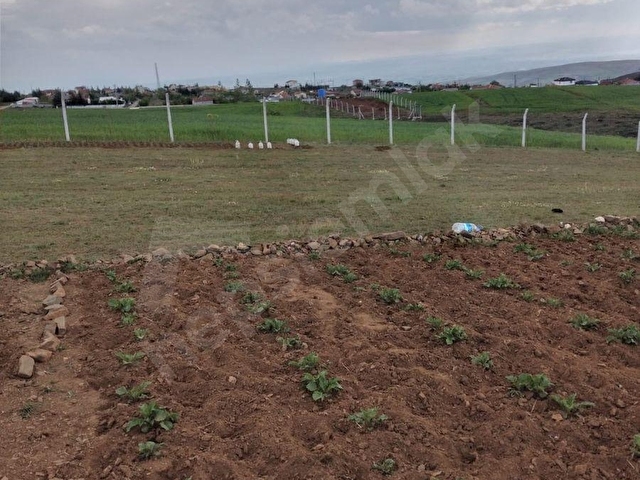 SULUKARAAĞAÇ MAHALLESİNDE YOLA CEPHELİ 5200 M2 MÜSTAKİL TAPULU SATILIK TARLA - Görsel 13