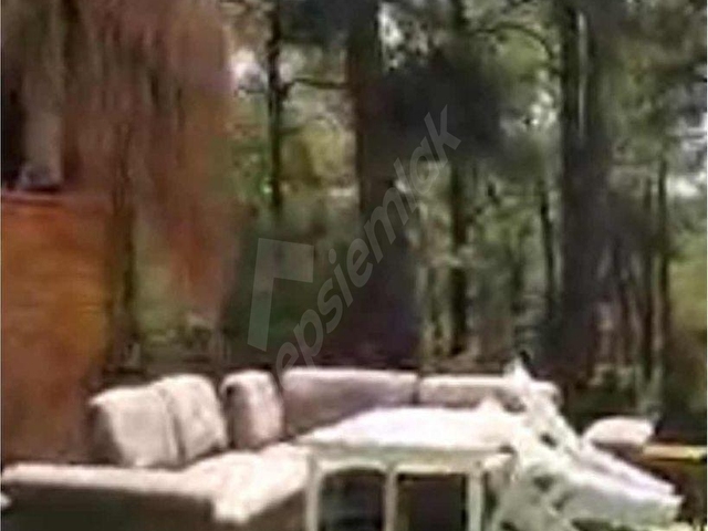 Karaca Söğütte Orman İçinde Havuzlu 6 Adet Bungalov Yerleşke