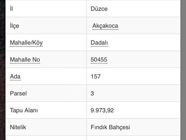 DÜZEY GAYRİMENKULDEN AKÇAKOCADA FIRSAT FINDIK BAHÇESİ - Görsel 3