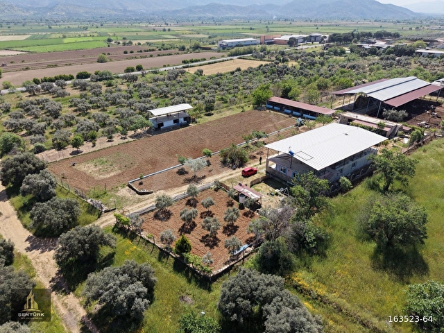 NAZİLLİ-BOZDOĞAN HATTINDA, MUHTEŞEM ÇİFTLİK EVİ - Görsel 3