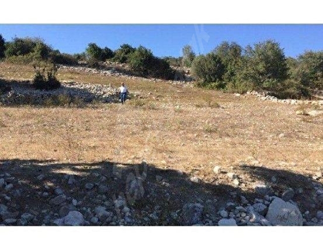 TARSUS KARAKÜTÜK MAH. SATILIK 10.400 M2 TAVUK CIFLIGİ YERİ ELEKTRİK ,SU ALINMIŞ - Görsel 5