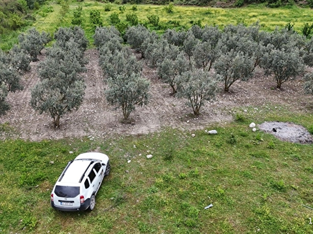 D-650 KARAYOLUNA 400 METRE İMARIN TAM SINIRINDA ZEYTİN BAHÇESİ - Görsel 11