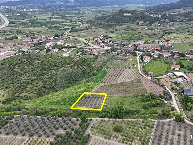 D-650 KARAYOLUNA 400 METRE İMARIN TAM SINIRINDA ZEYTİN BAHÇESİ - Görsel 6