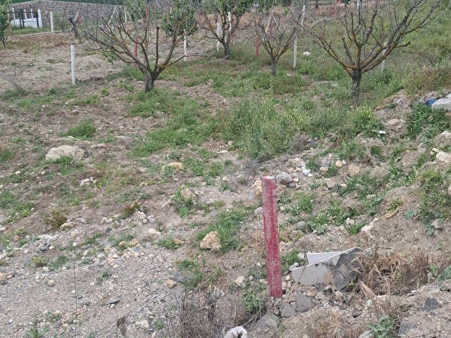 BORNOVA YAKA KÖY SATILIK TAPULU ARAZİ - Görsel 7