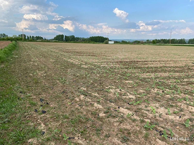 Kırklareli, Babaeski, Karabayırda Çiftlik için İdeal 18.100 m² - Görsel 19