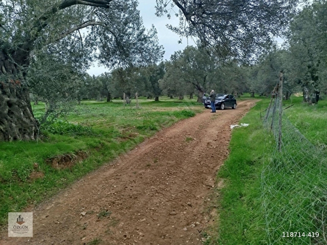 ÖZGÜNDEN HOBİ AMAÇLI KÖY KENARI 103 M2 PELİTKÖY