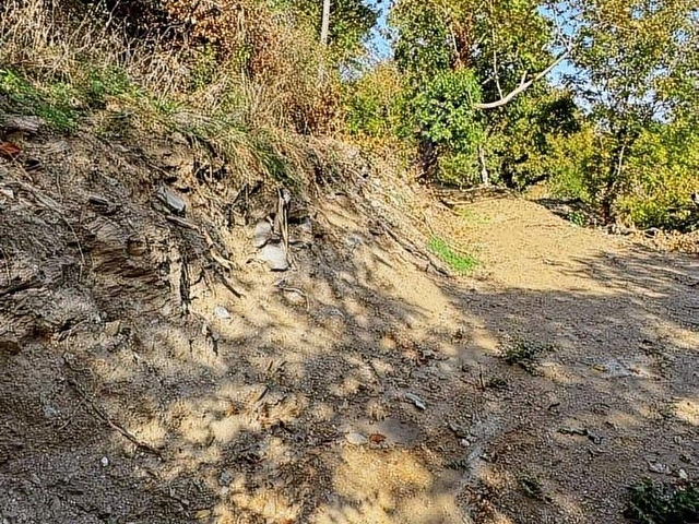 GÜLEÇ GAYRİMENKULDEN (ÇOK ACİL) DEĞİRMENDEREDE SATILIK BAHÇE - Görsel 24