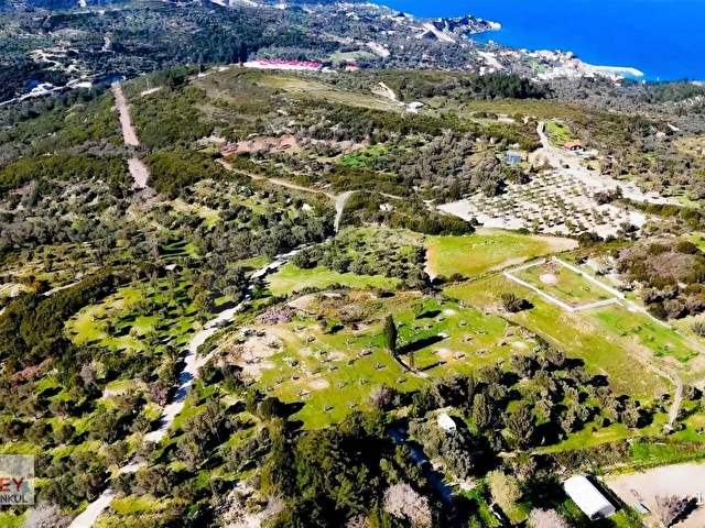Inecik köyünde 2.200 m2 zeytin ağaçlı tarla - Görsel 9