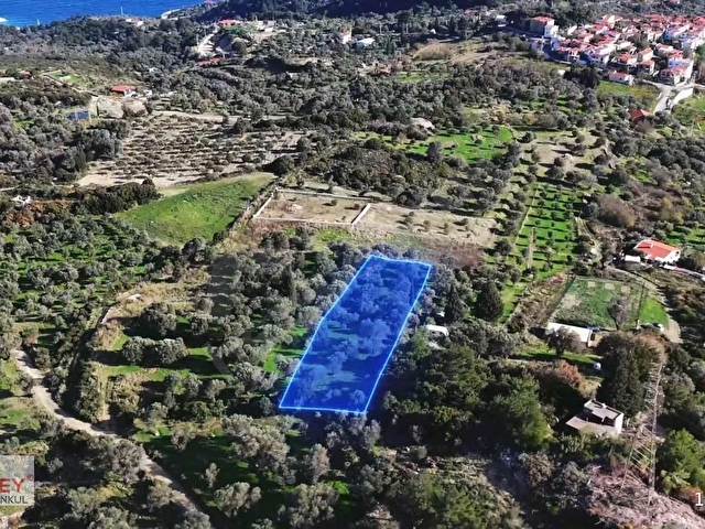 Inecik köyünde 2.200 m2 zeytin ağaçlı tarla - Görsel 29