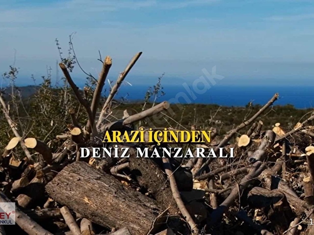 Inecik köyünde 2.200 m2 zeytin ağaçlı tarla - Görsel 18