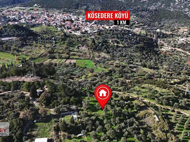 Inecik köyünde 2.200 m2 zeytin ağaçlı tarla - Görsel 22