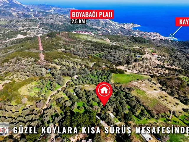 Inecik köyünde 2.200 m2 zeytin ağaçlı tarla - Görsel 24