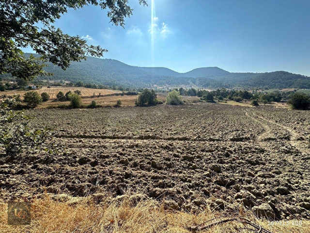 BALIKESİR SINDIRGI YÜREĞİLDE ANAYOLA CEPHE 18.168M2 UYGUN ARSA - Görsel 5