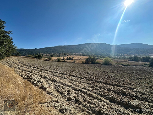 BALIKESİR SINDIRGI YÜREĞİLDE ANAYOLA CEPHE 18.168M2 UYGUN ARSA - Görsel 3