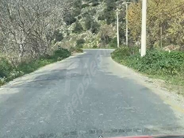 SAHiBiNDEN SATıLıK TARLA ARAZi - Görsel 2