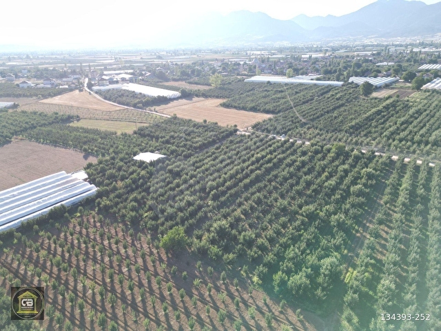 ELMALI ZÜMRÜTOVA MAH. 5.680 m² BAKIMLI ELMA BAHÇESİ SATILIKTIR - Görsel 27