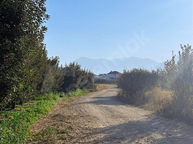 ELMALI ZÜMRÜTOVA MAH. 5.680 m² BAKIMLI ELMA BAHÇESİ SATILIKTIR - Görsel 7