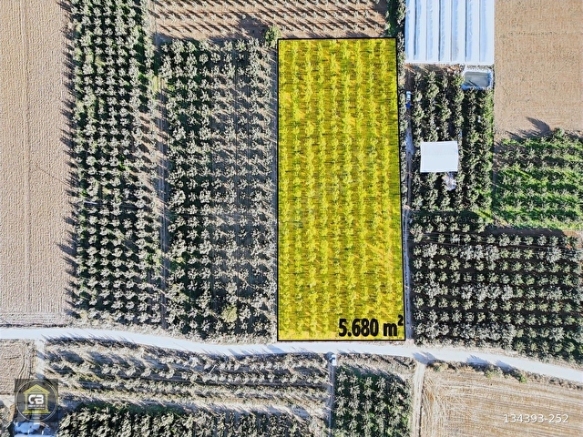 ELMALI ZÜMRÜTOVA MAH. 5.680 m² BAKIMLI ELMA BAHÇESİ SATILIKTIR - Görsel 2