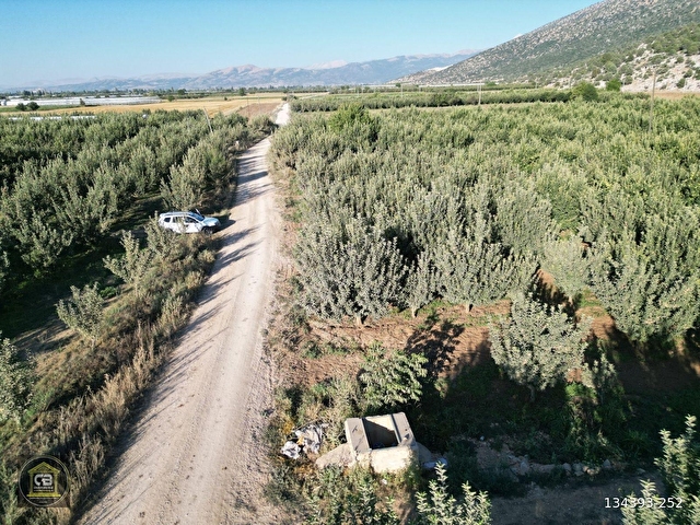 ELMALI ZÜMRÜTOVA MAH. 5.680 m² BAKIMLI ELMA BAHÇESİ SATILIKTIR - Görsel 29