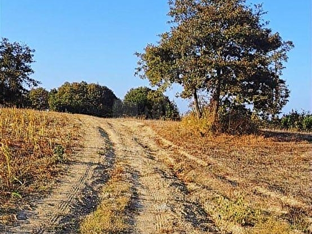 KANDIRA KANATLARDA İKİ YOLA CEPHE TARLAMIZ SATILIKTIR. - Görsel 22