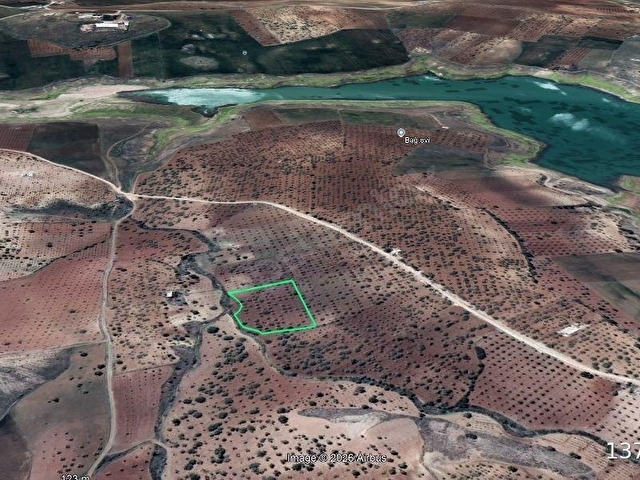 BELEN DE GÖLET E 700 MT MESAFEDE SATILIK FISTILIK VE ZEYTİNLİK - Görsel 4