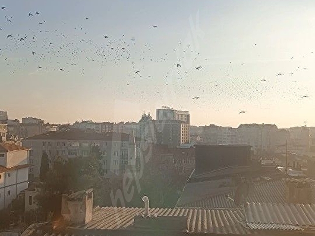 İhsaniye / Kurtuluş Caddesi Üzerinde, Güneş Alan Asansörlü 2+1 Satılık Daire - Görsel 21