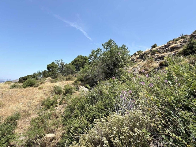 Bodrum Turgutreiste 1.169m2 %15 İmarlı Full Deniz Manzaralı - Görsel 14