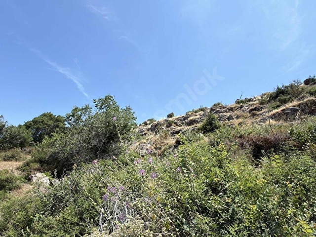 Bodrum Turgutreiste 1.169m2 %15 İmarlı Full Deniz Manzaralı - Görsel 9