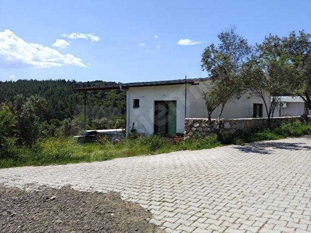 Seydikemer Girmelerde SON FIRSAT İhtiyaç,tan - Görsel 13