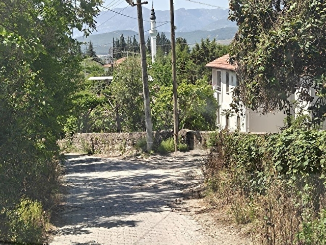 Seydikemer Girmelerde SON FIRSAT İhtiyaç,tan - Görsel 4
